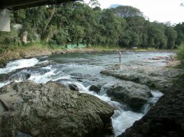 Rio Cubatão, em Joinville