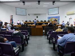Plenário derruba veto a PL que dá transparência a débitos de impostos municipais