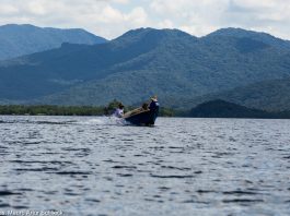 Pesca na Baía da Babitonga | Foto: Mauro Arthur Schlieck